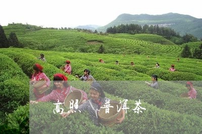 高照 普洱茶/2023042816780